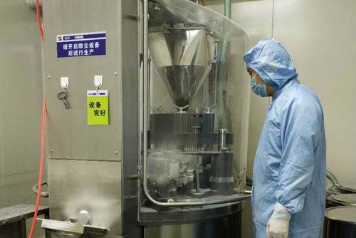 金花制藥廠順利完成GMP符合性自檢工作，全面承接總公司核心業(yè)務(wù)
